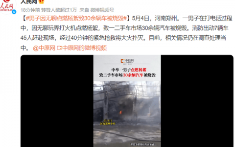 男子无聊玩弄打火机点燃杨絮，致一二手车市场30余辆汽车被烧毁