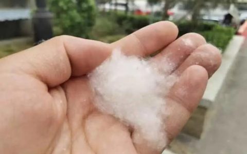 警惕！杨柳絮来了，注意防火！