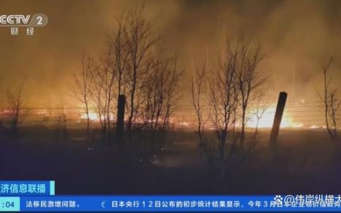 中蒙边境突发大火，过火面积达20万公顷：火灾系人为引发