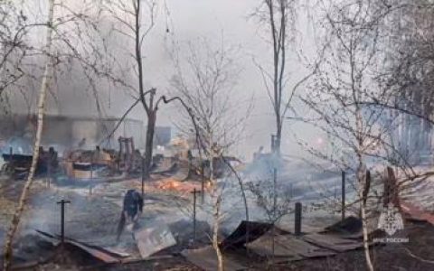 外媒：俄罗斯林火造成至少21人死亡
