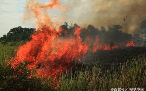 野外用火需谨慎 引发火灾须负责