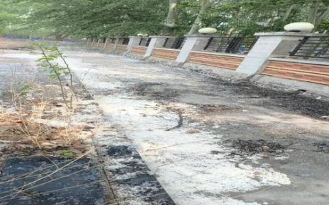故意点燃柳絮引发火灾 北京朝阳一男子被拘留十日